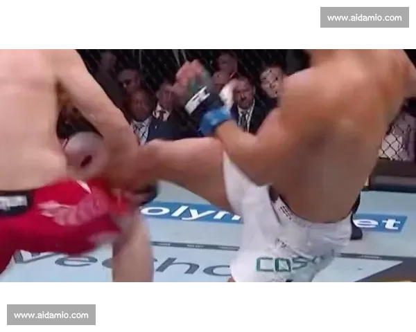 UFC猴子vs班纳巅峰对决谁将统治擂台引爆全球热议终极之战夜