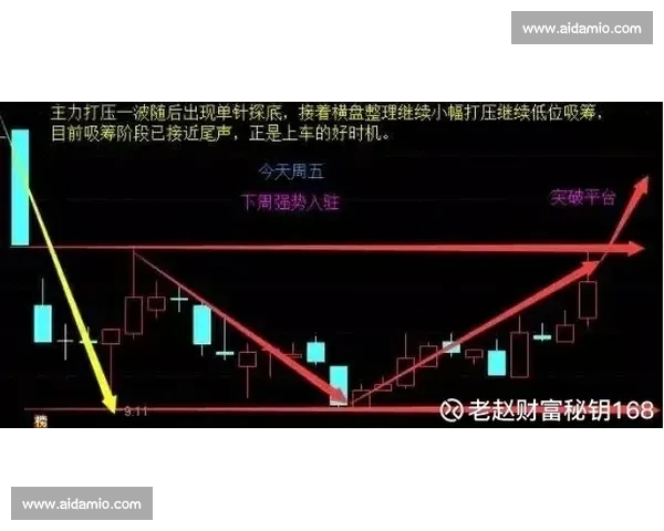 辽宁vs贵州强强对话揭示赛场格局与胜负关键走向分析深度解读