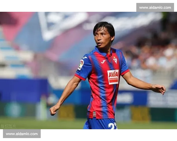 美国对阵葡萄牙赛前分析与胜负走势预测前瞻解读全面数据深度观察