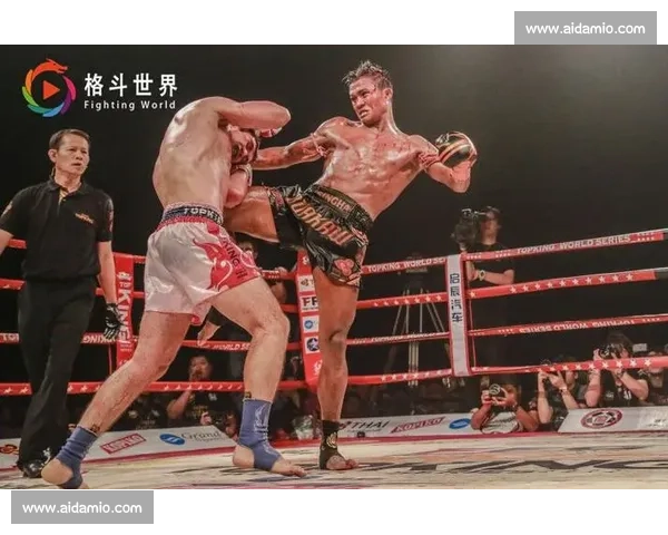 泰拳王播求对决一龙巅峰之战背后的实力与争议全解析真相与影响深度剖析